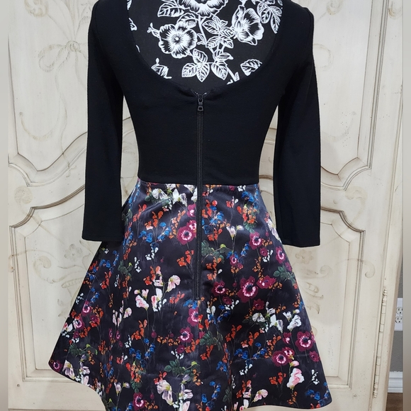 NWT alice + olivia Amie Fall Garden Print Black Long Sleeve Fit Flare Dress Sz 4 - Picture 8 of 14
